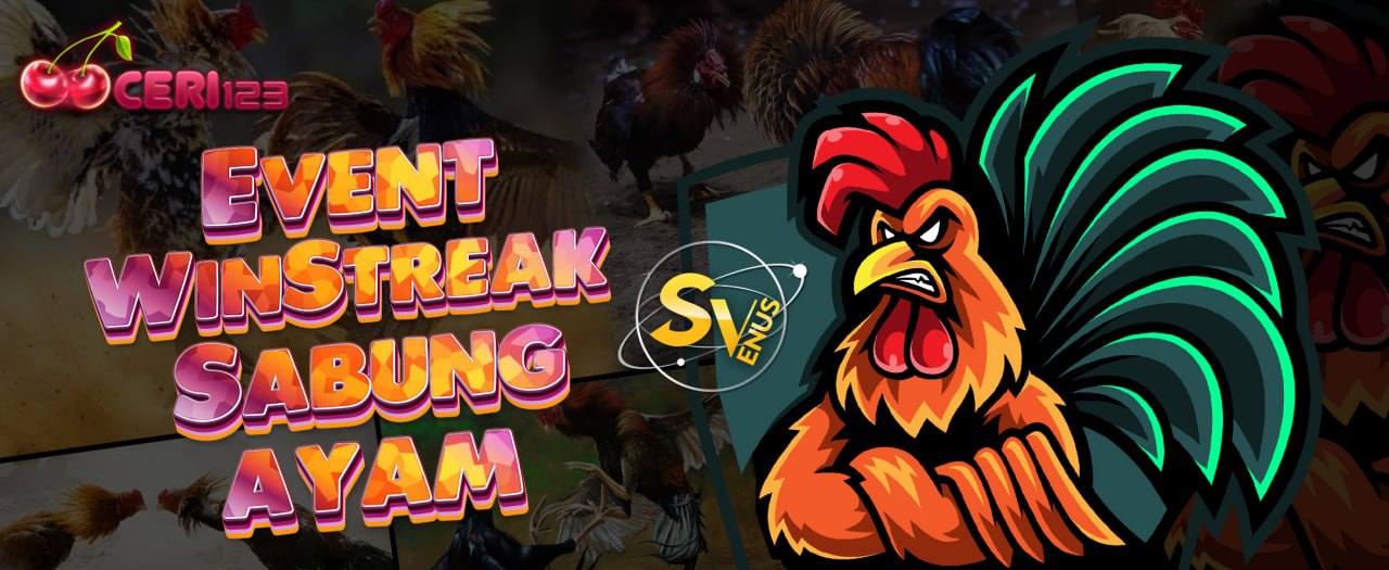 Ekstra Bonus Winstreak Sabung Ayam